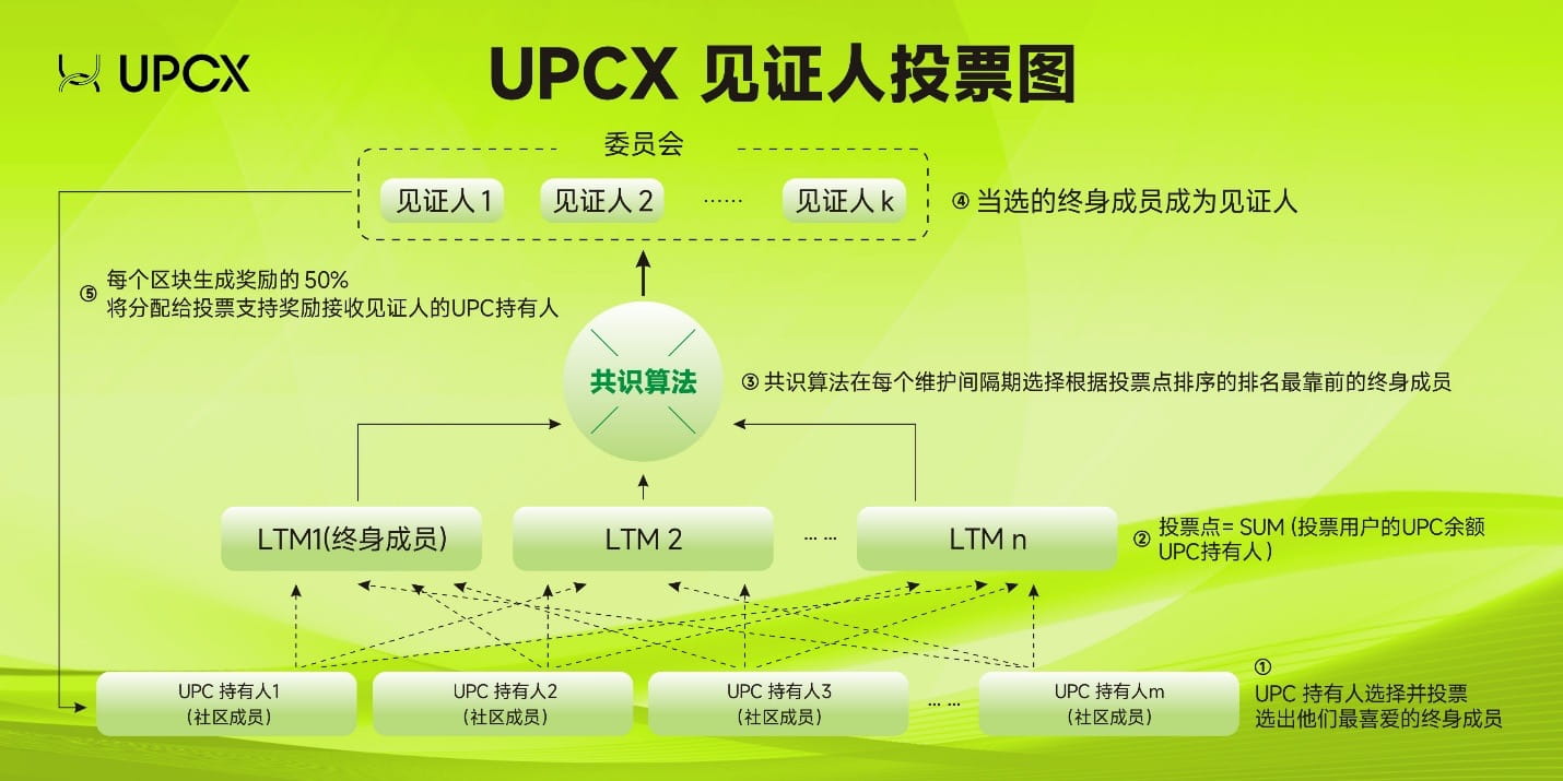 UPC Witness Voting Diagram